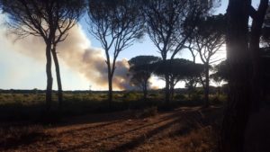 Incubo incendi, ancora fiamme nel territorio senese