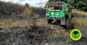 Incendio distrugge bosco