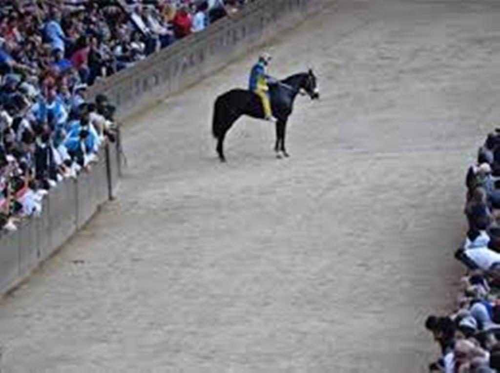 Tornasol, ecco i risultati delle analisi.  Proseguono le indagini ma l'effetto mediatico fa male al Palio