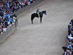 Tornasol, ecco i risultati delle analisi.  Proseguono le indagini ma l'effetto mediatico fa male al Palio