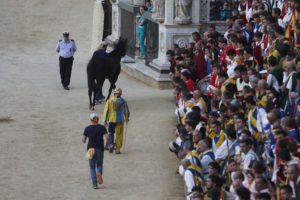 Le analisi di Tornasol sarebbero compatibili con il Protocollo