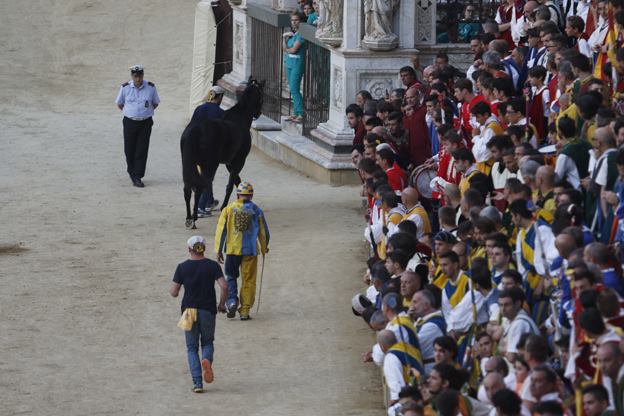 Le analisi di Tornasol sarebbero compatibili con il Protocollo