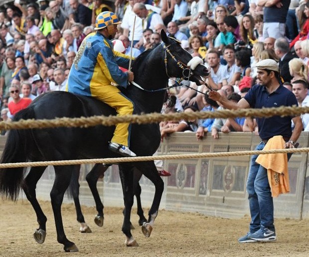 Attesa per i risultati sulle analisi di Tornasol