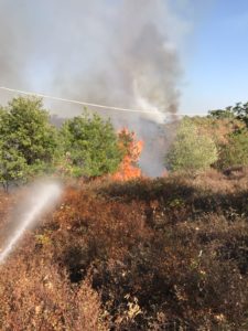 Incendi: giugno da dimenticare con 195 ettari andati in fumo