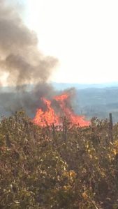 Conferenza mondiale incendi boschivi, la Toscana presenta in Brasile l’esperienza del centro di Monticiano
