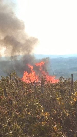 Conferenza mondiale incendi boschivi, la Toscana presenta in Brasile l&rsquo;esperienza del centro di Monticiano