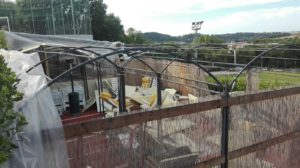 Notti brave: vandali in azione anche negli impianti sportivi di Maltraverso