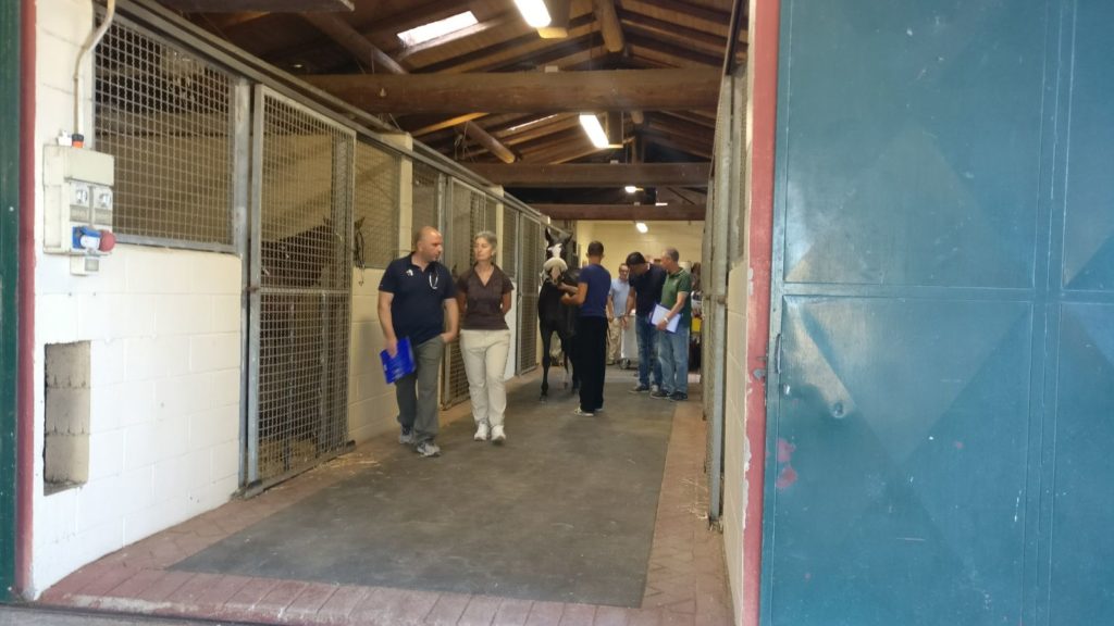 Cambia l'ufficio Palio del Comune