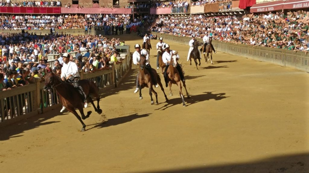 Palio, l'analisi sui 35 ammessi alla tratta