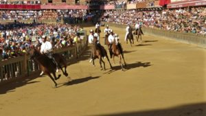 Palio, l'analisi sui 35 ammessi alla tratta