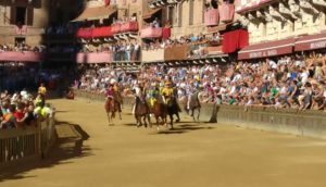 L'ingresso tra i canapi della terza prova