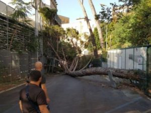 Parziale riapertura del parcheggio Stadio