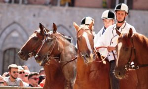Palio, ecco i cavalli ammessi alle prove di notte