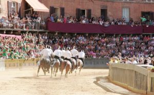 Ecco i cavalli ammessi alla Tratta, sono 35