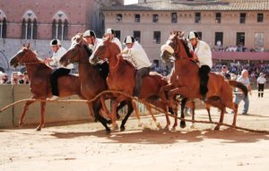 Osama Bin grande assente  alla tratta