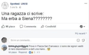 Studenti cercano "erba" a Siena: "In piazza San Francesco"