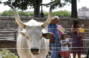 La Fortezza Medicea si trasforma nella &ldquo;Vecchia Fattoria&rdquo;