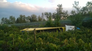 Siena- Firenze, autocarro esce di strada e si ribalta