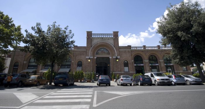 Siena, il Comune sostituir&agrave; un leccio in viale Vittorio Veneto