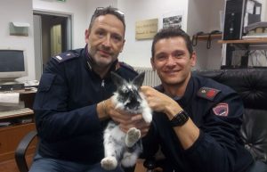 Poliziotti salvano coniglio che rischiava di essere investito in Pescaia
