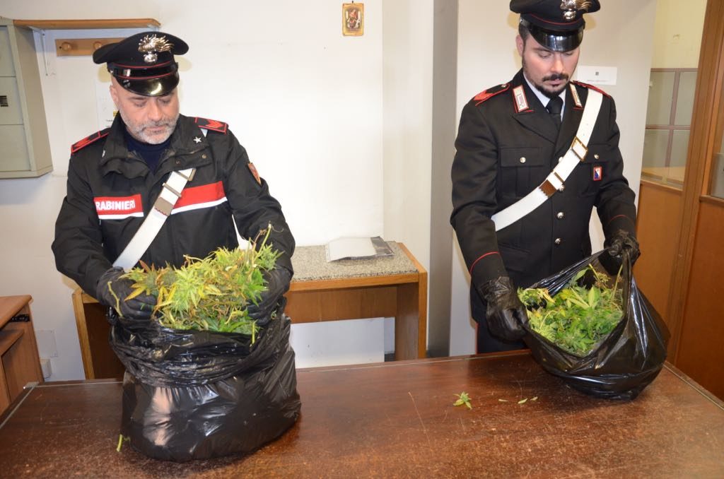 I carabinieri scoprono una serra di marijuana nel garage