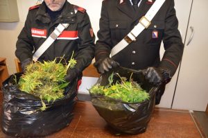 Spaccio di droga: scoperto appartamento per il confezionamento dosi