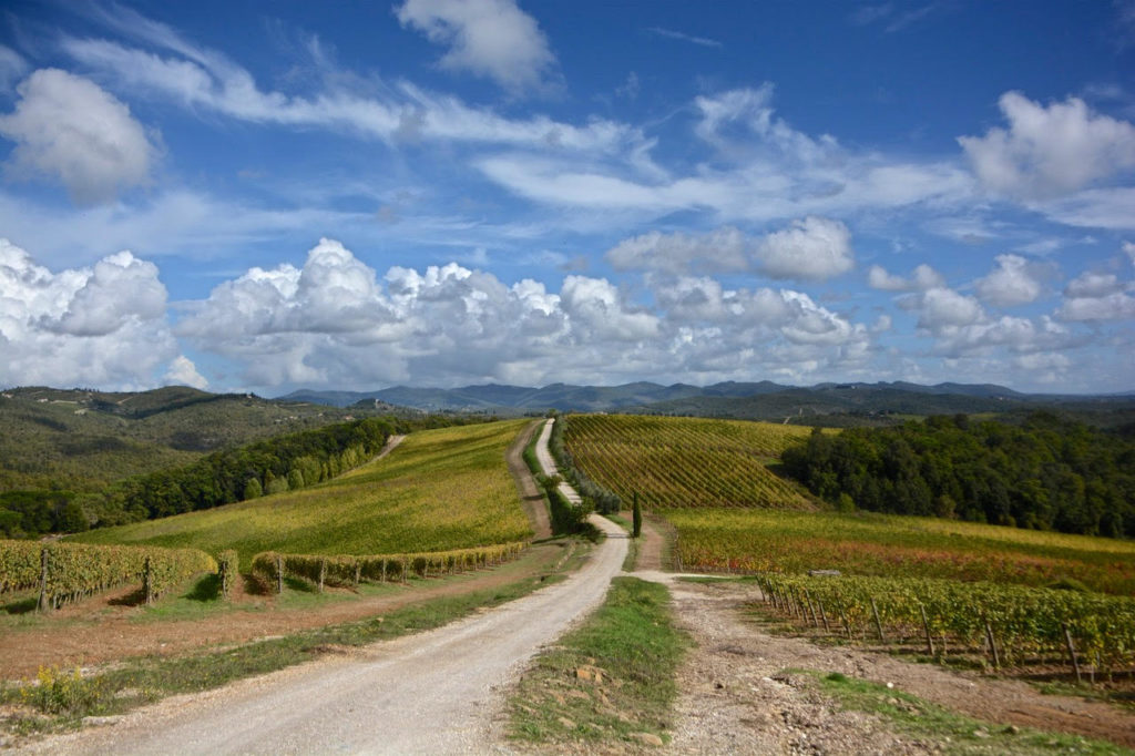 "Chianti Trail Ultra", si corre per la prima volta tra i filari delle colline del Chianti