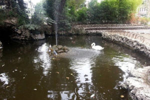 Restyling per i Giardini della Lizza: laghetto, prato e nuovi giochi