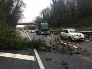 Ramo di un albero crolla sulla Siena-Firenze, viabilit&agrave; rallentata