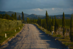 Radda, cresce l'attesa per la Chianti Trail