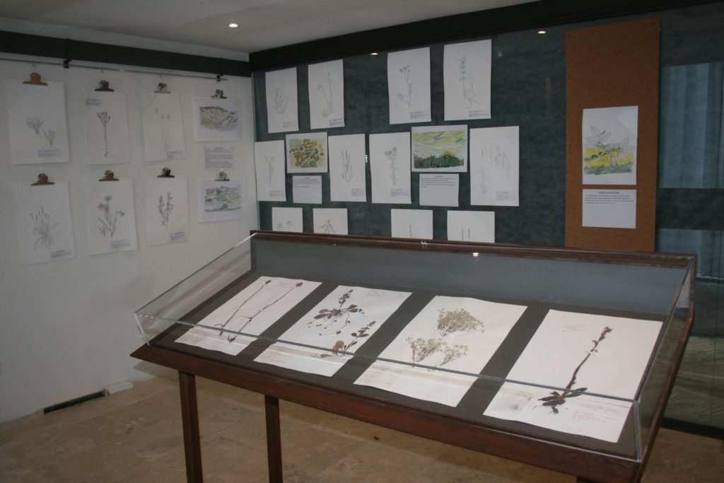 Accademia Fisiocritici, "Ars Botanica" fino al 30 marzo 2018