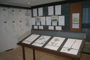 Accademia Fisiocritici, "Ars Botanica" fino al 30 marzo 2018