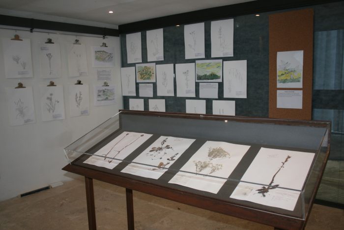 Accademia Fisiocritici, "Ars Botanica" fino al 30 marzo 2018
