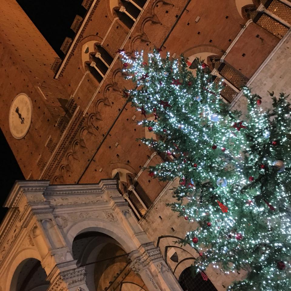 E' costato 10.500 euro l'albero di Natale in Piazza del Campo