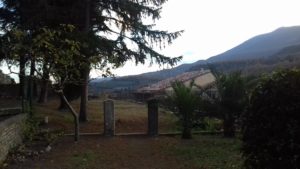 Cetona, previsto un orto medioevale nel Palazzo comunale come luogo di aggregazione e didattica