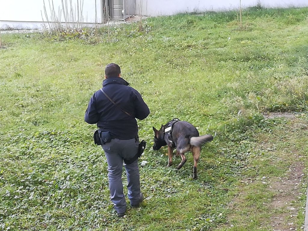 Controlli antidroga al Liceo Galilei: la Polizia ferma tre giovani stranieri