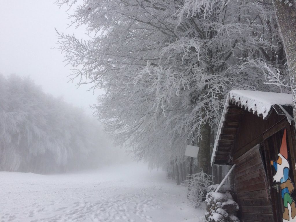 Amiata, paesaggi da fiaba: l'8 l'apertura della pista sulla vetta - LE FOTO
