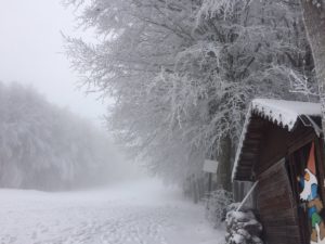 Amiata, paesaggi da fiaba: l'8 l'apertura della pista sulla vetta - LE FOTO