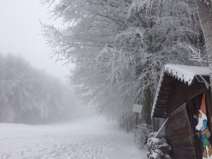 Amiata, paesaggi da fiaba: l'8 l'apertura della pista sulla vetta - LE FOTO
