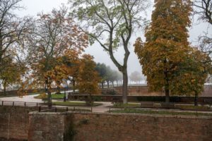 Covid-19, fino al 3 aprile chiusi parchi, giardini e aree verdi comunali a Siena