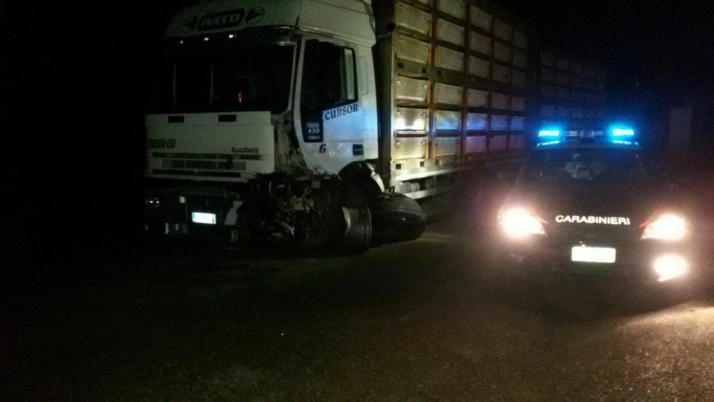 Tir fuori strada, una tragedia sfiorata sulla Siena-Bettolle - LE FOTO
