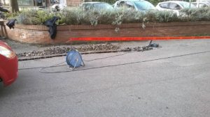 Via Celso Cittadini, iniziati i lavori alle sbarre automatiche