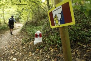 Via Francigena e Legge sui Cammini d'Italia