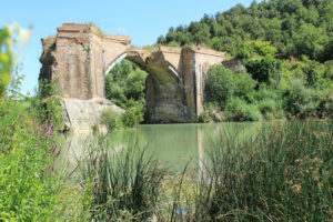 Consorzio di Bonifica 6 Toscana Sud al lavoro per la pulizia del fiume Merse