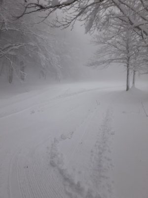 Presenze record e tanta neve: in vetta all'Amiata &egrave; alta mezzo metro