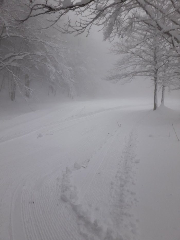 Presenze record e tanta neve: in vetta all'Amiata &egrave; alta mezzo metro