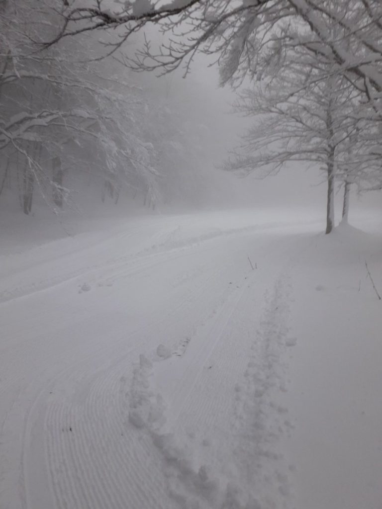 Presenze record e tanta neve: in vetta all'Amiata &egrave; alta mezzo metro