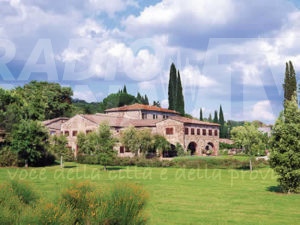 Colpo all'azienda Col d'Orcia, rubate bottiglie d'annata da centinaia di euro