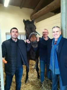 Dimessa dal Ceppo Morosita Prima: "Siena ha mostrato ancora l'amore per i cavalli"