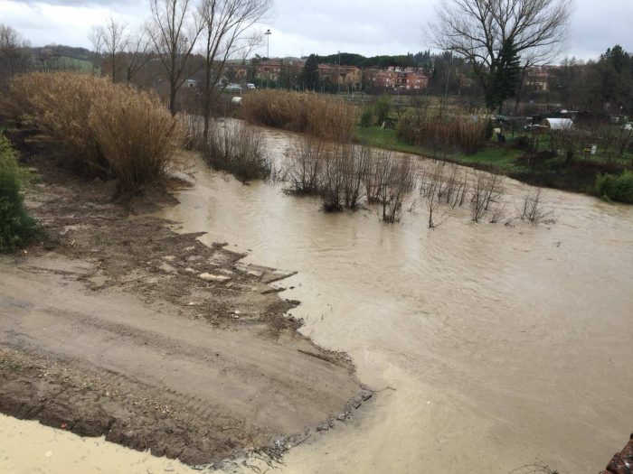 Maltempo, la situazione del fiume Arbia - FOTO E VIDEO